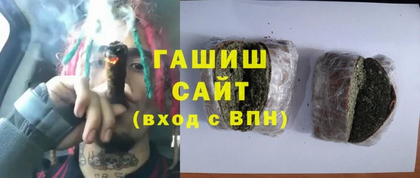 индика Няндома