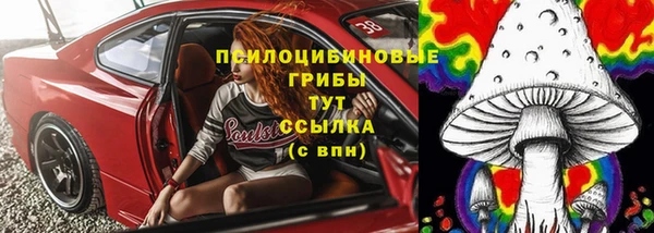индика Няндома